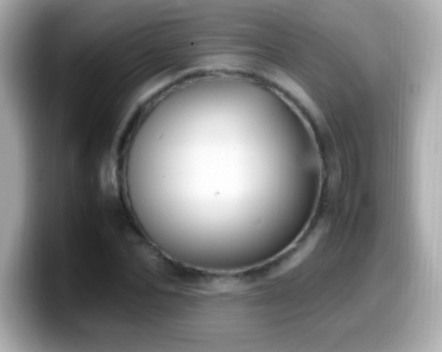 X0000099940974200805231248