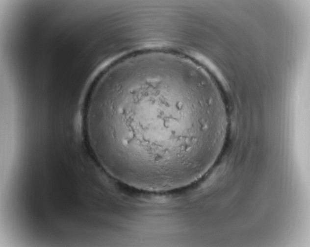 X0000099940975200805231248