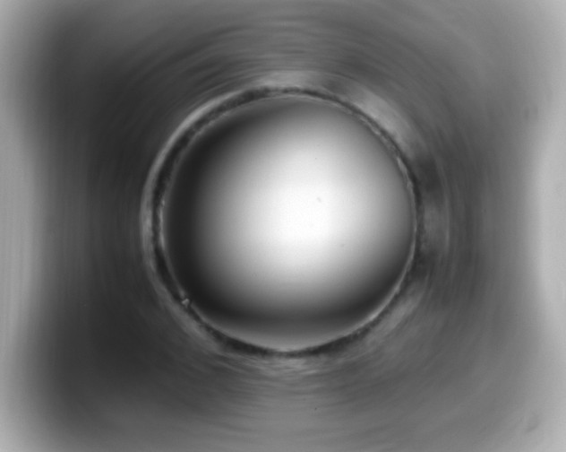 X0000099940976200805231248