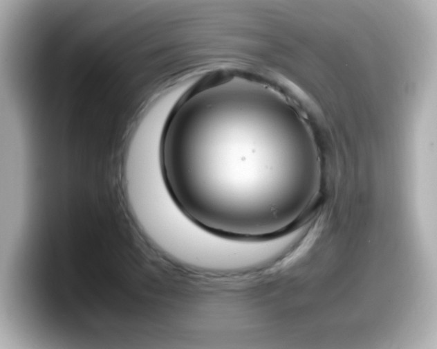 X0000099940977200805231248