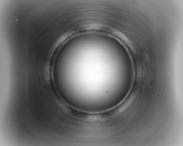 X0000099940978200805231248