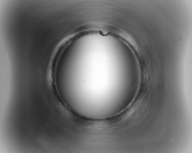X0000099940979200805231248