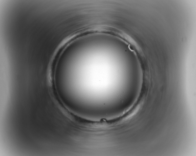 X0000099940981200805231248