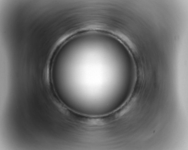 X0000099940982200805231248