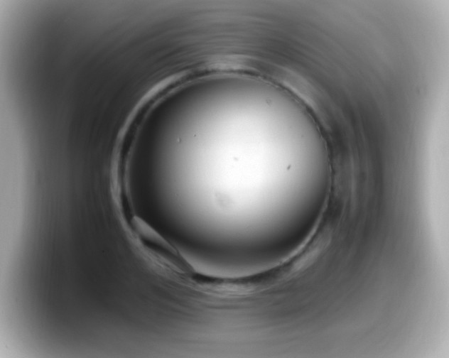 X0000099940984200805231248