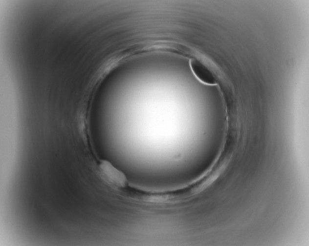 X0000099940985200805231248