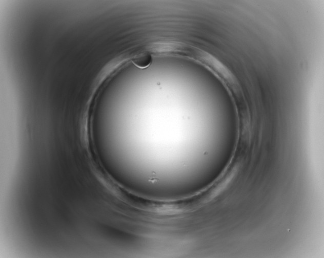 X0000099940986200805231248
