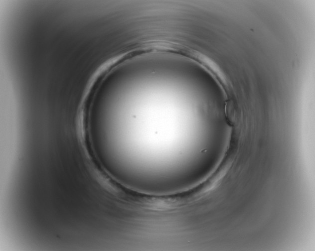 X0000099940987200805231248