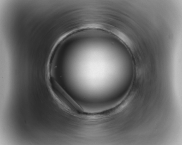 X0000099940988200805231248