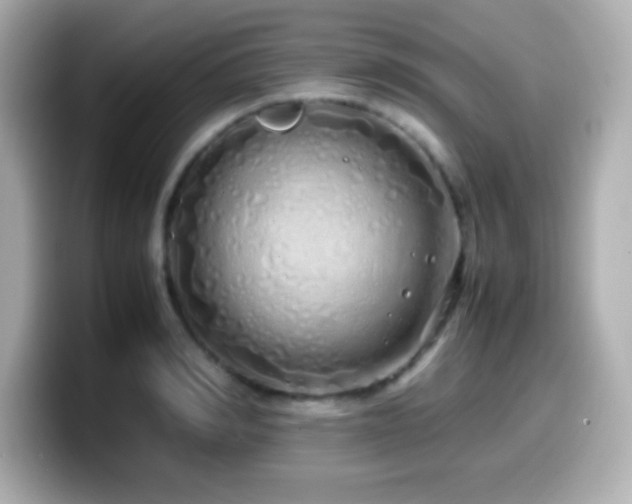 X0000099940990200805231248