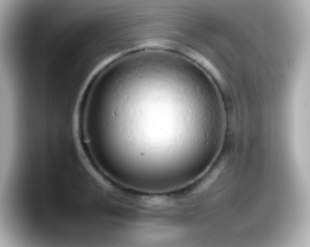 X0000099940991200805231248