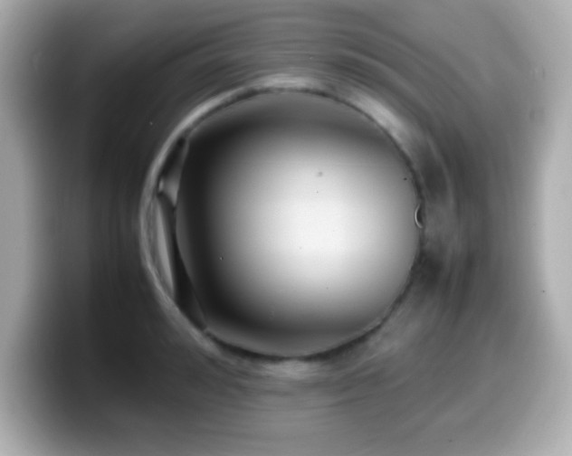 X0000099940992200805231248