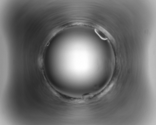 X0000099940993200805231248