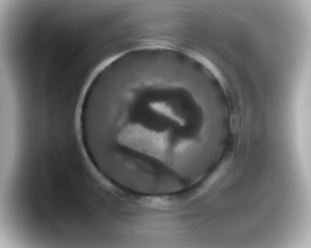 X0000099940995200805231248