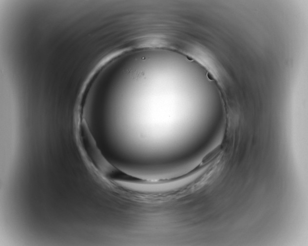 X0000099941000200805231247