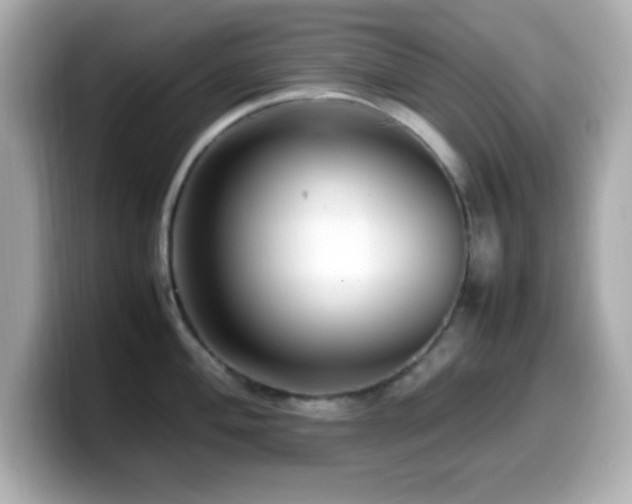 X0000099941004200805231247