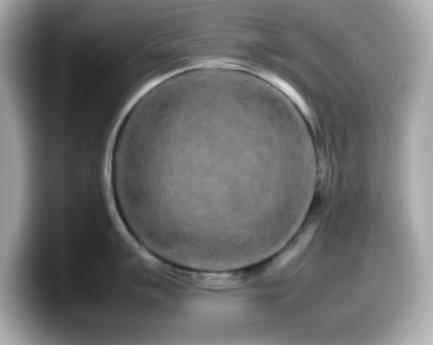 X0000099941007200805231247