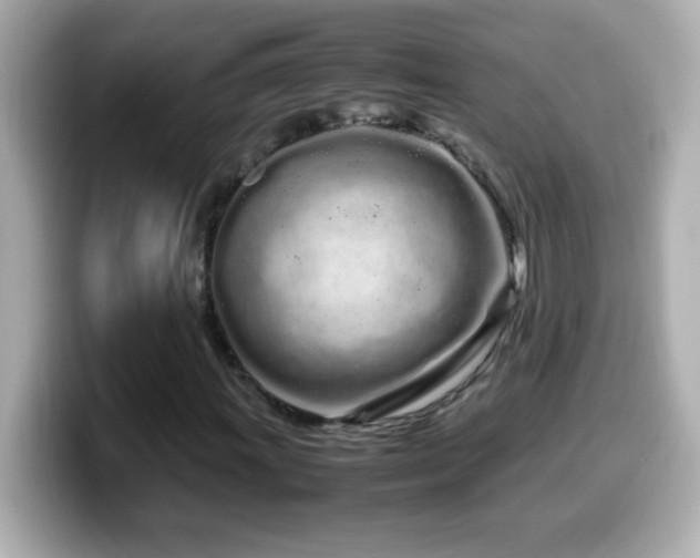 X0000099941011200805231247