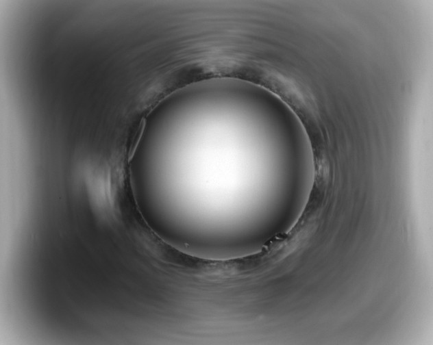 X0000099941012200805231247