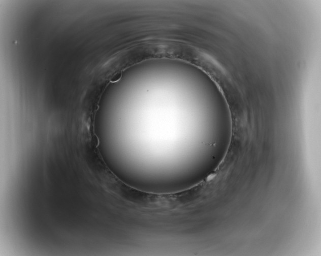 X0000099941013200805231247