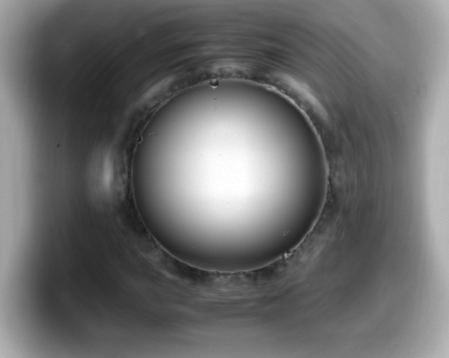X0000099941015200805231247