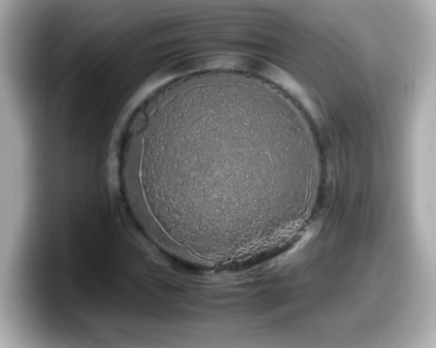 X0000099941019200805231247