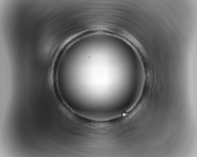 X0000099941020200805231247