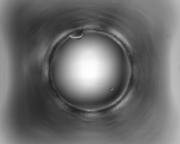 X0000099941021200805231247