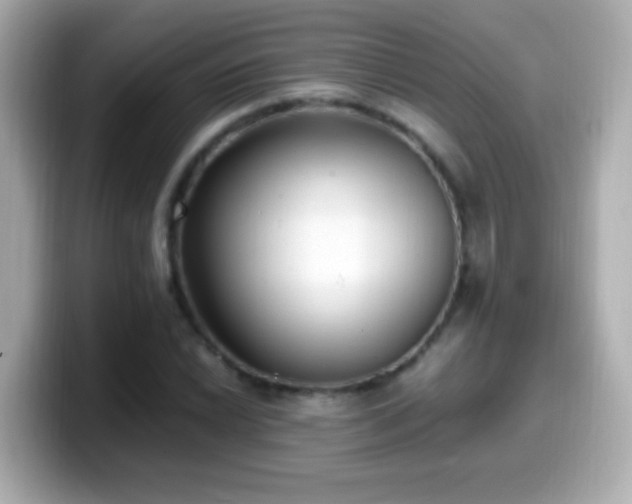 X0000099941022200805231247