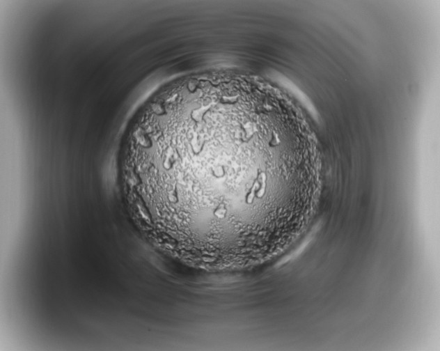 X0000099941023200805231247