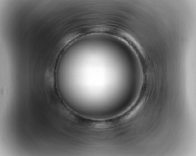 X0000099941025200805231247