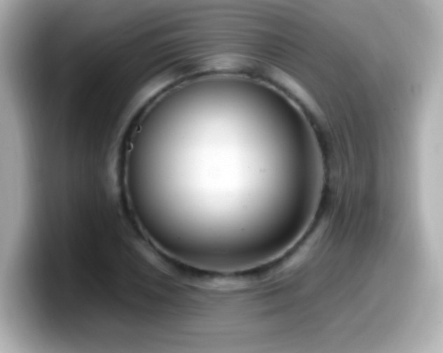 X0000099941026200805231247