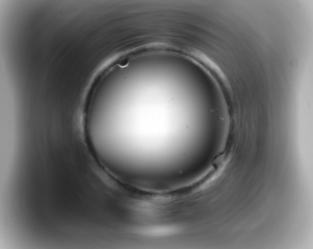 X0000099941029200805231247