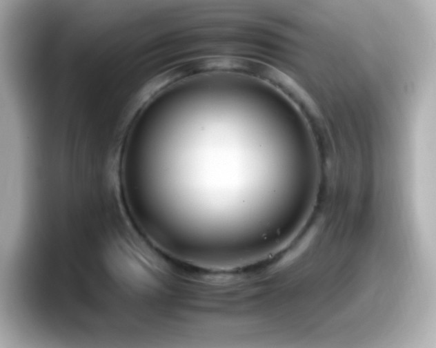 X0000099941033200805231247