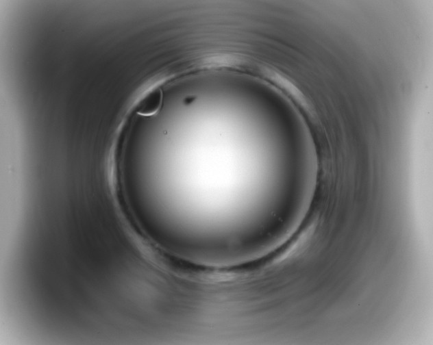 X0000099941034200805231247