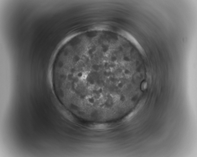 X0000099941035200805231247