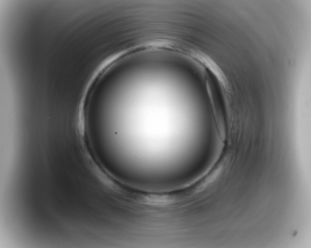 X0000099941036200805231247