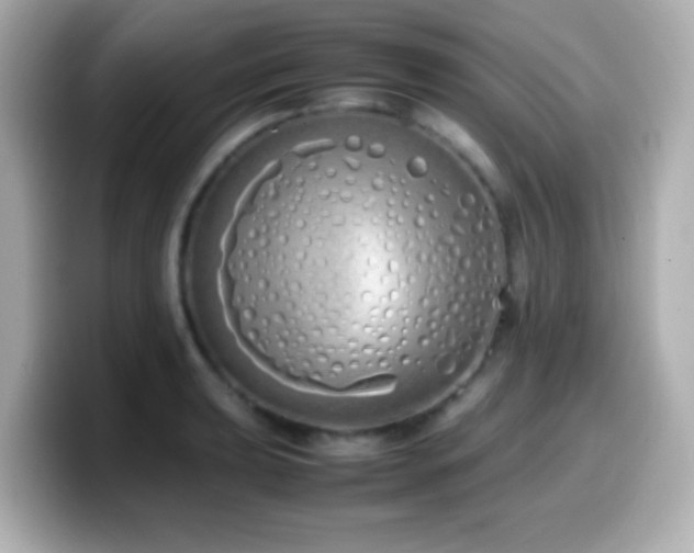 X0000099941039200805231247