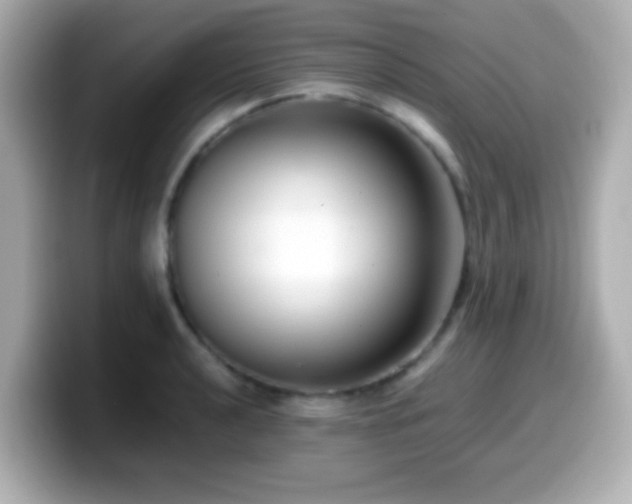 X0000099941040200805231247