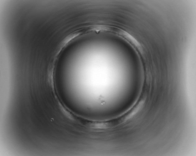 X0000099941041200805231247