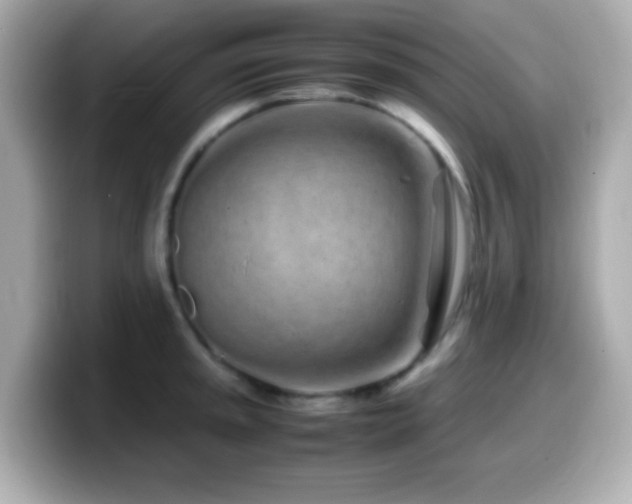 X0000099941045200805231247