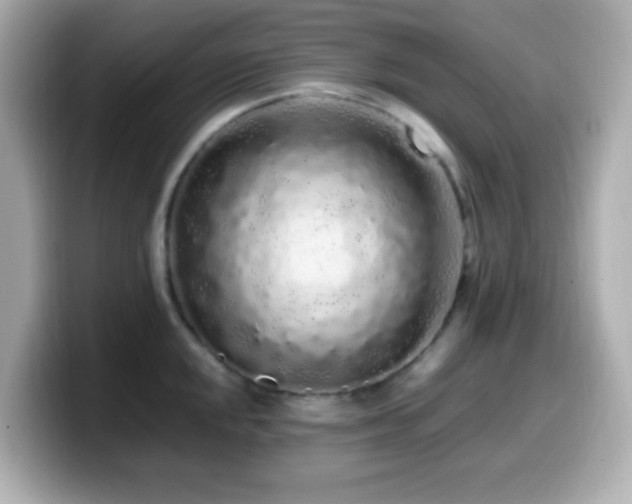 X0000099941048200805231247