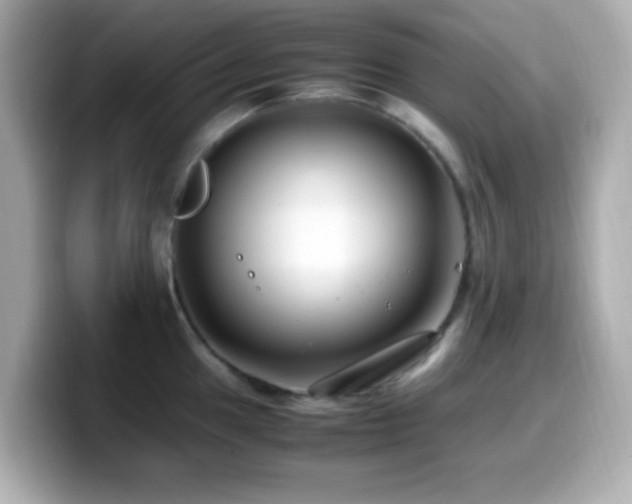X0000099941049200805231247