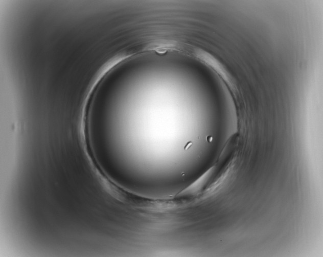 X0000099941050200805231247