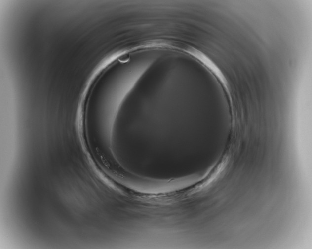 X0000099941053200805231247