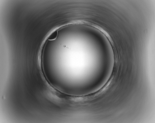 X0000099941054200805231247
