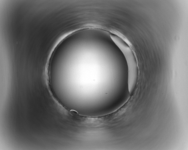 X0000099941056200805231247