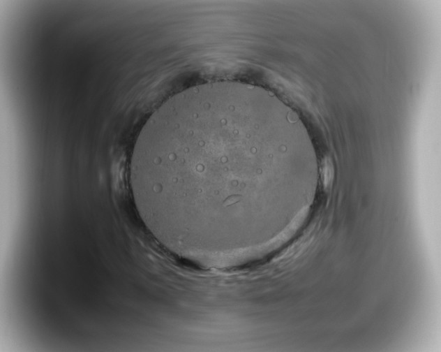 X0000099941059200805231247