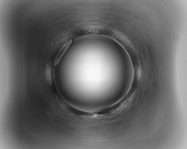 X0000099941060200805231247