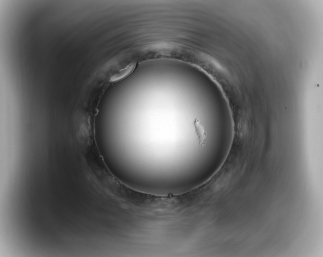 X0000099941062200805231247